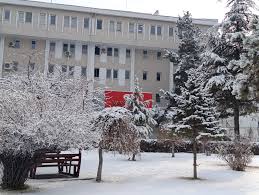 Van’da bugün hava durumu nasıl olacak? Kar yağışı devam edecek mi?