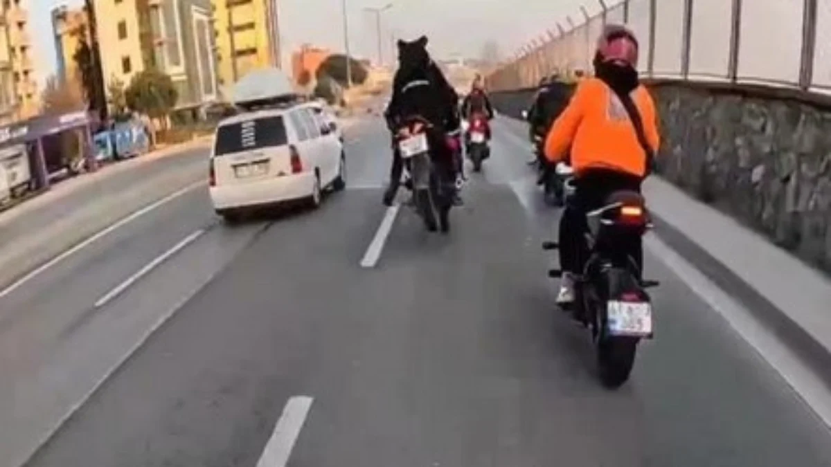 Şakalaşırken kaza yaptılar