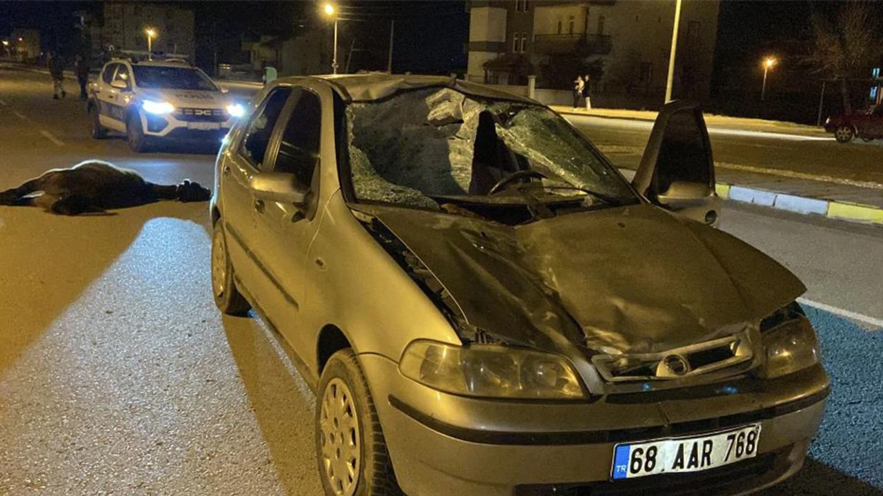 Yola atlayan başıboş ata otomobil çarptı: Sürücü yaralandı, at telef oldu