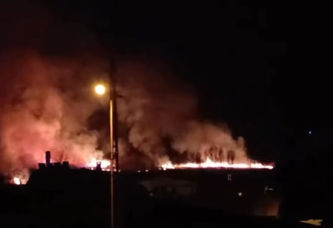 Van’da sazlık alan yandı