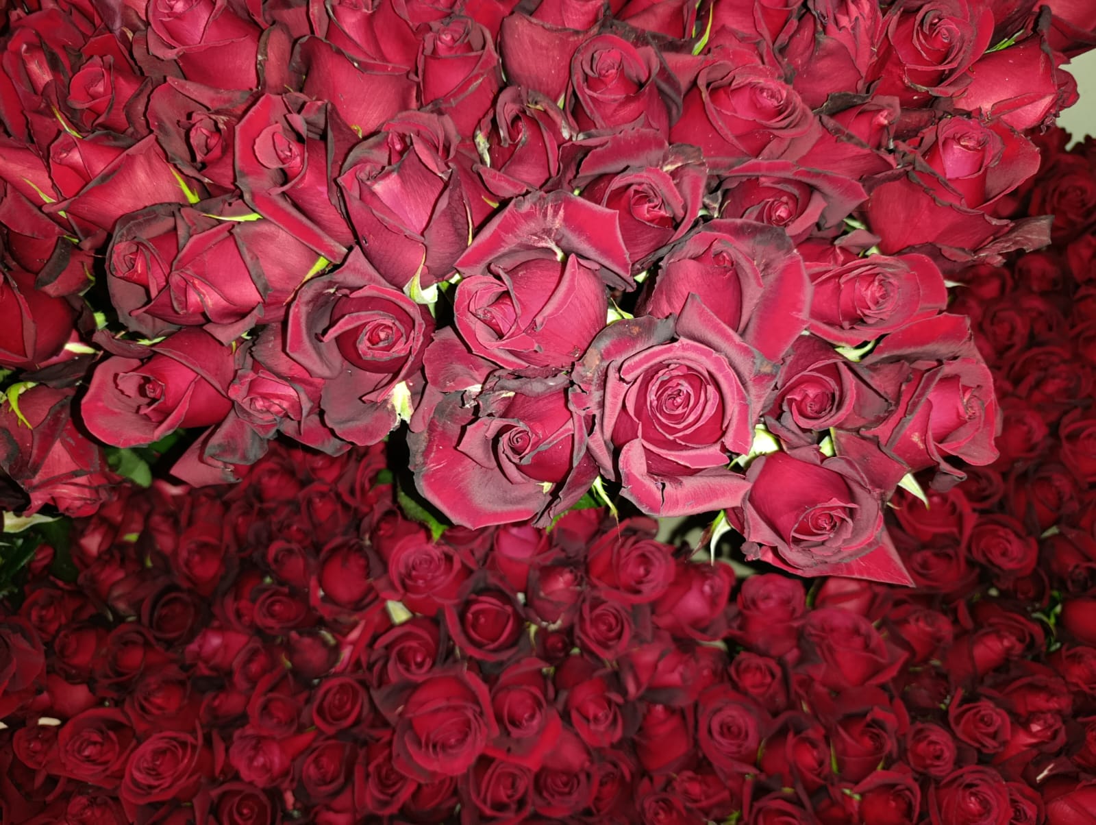 Van’da 8 Mart Öncesi Çiçekçilerde Yoğunluk