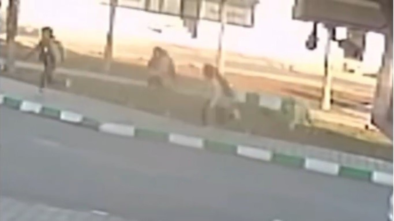 Gaziantep’te Sokak Köpeği Saldırısı