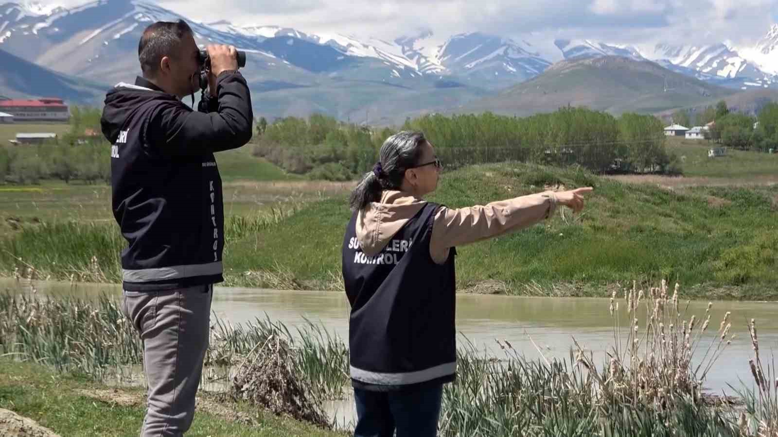 Van Gölü’nün hazinesi inci kefali için koruma seferberliği