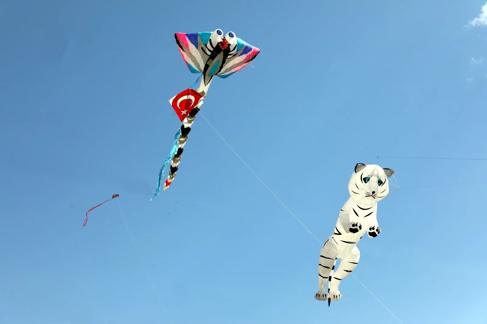 Van’da uçurtma şenliği yapılacak