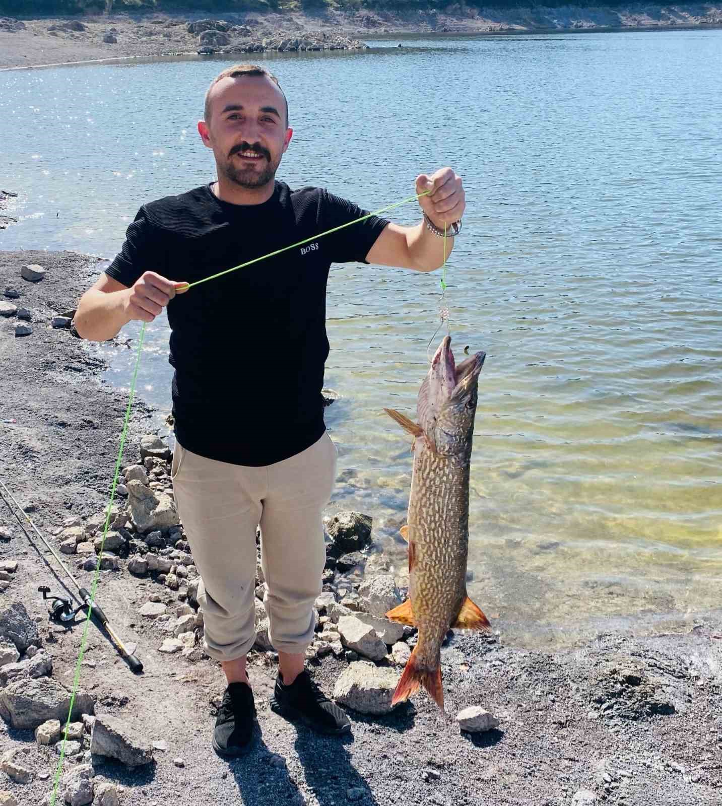 Balıkçının oltasına 7 kiloluk turna takıldı