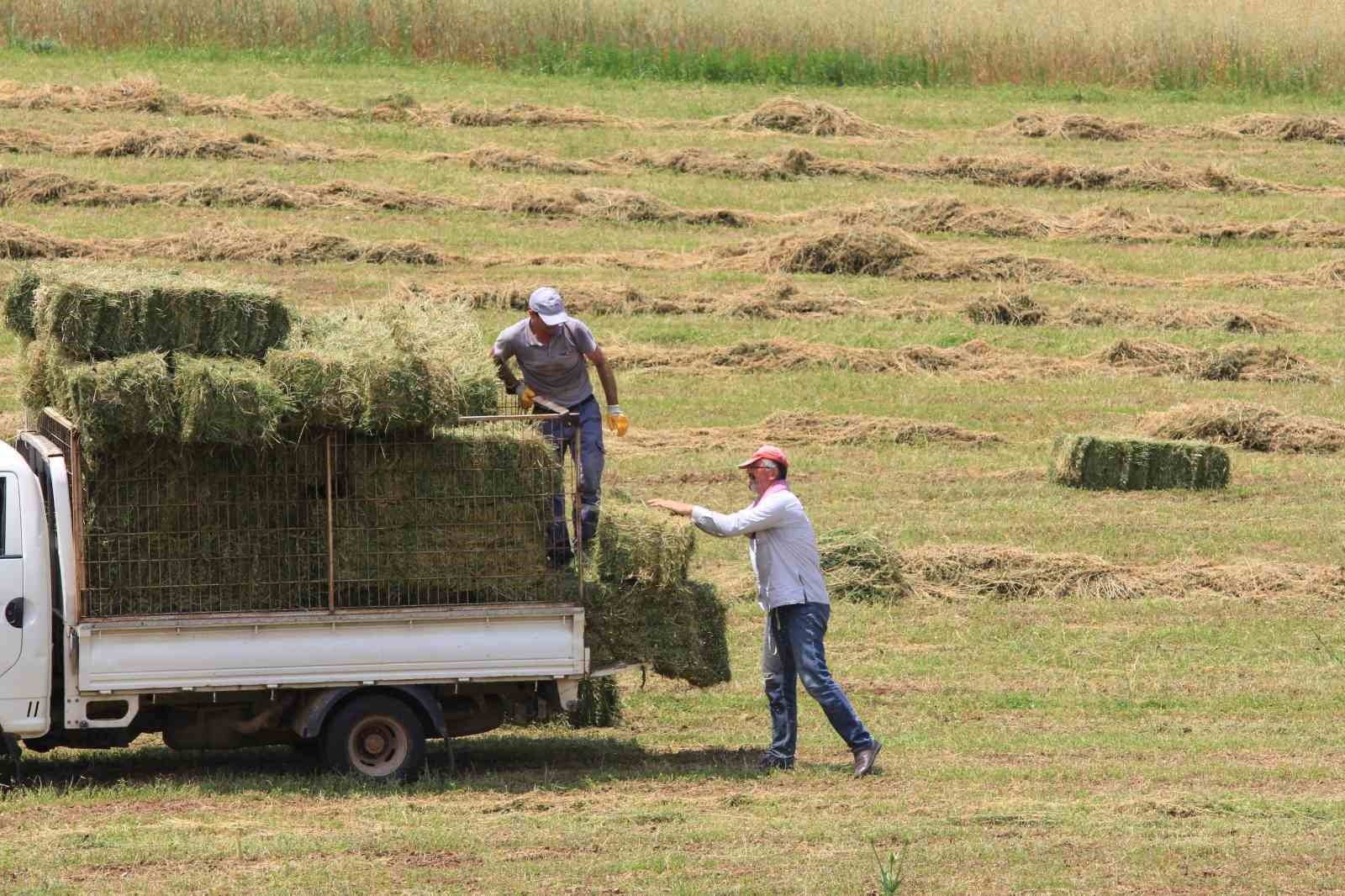 Saman fiyatları 3 ayda yüzde 18,4 yükseldi