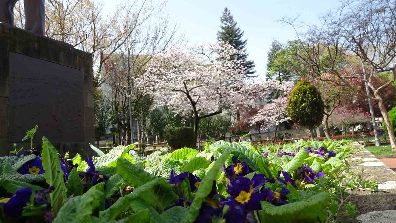 Havalar ısınıyor polen alerjisine dikkat