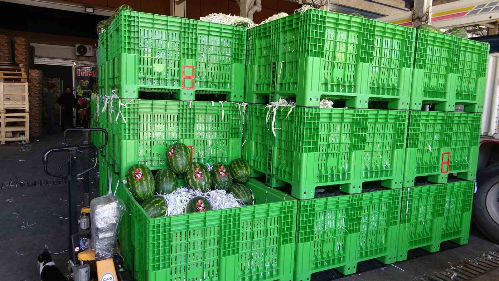 Halden 700 kilo karpuz çalındı