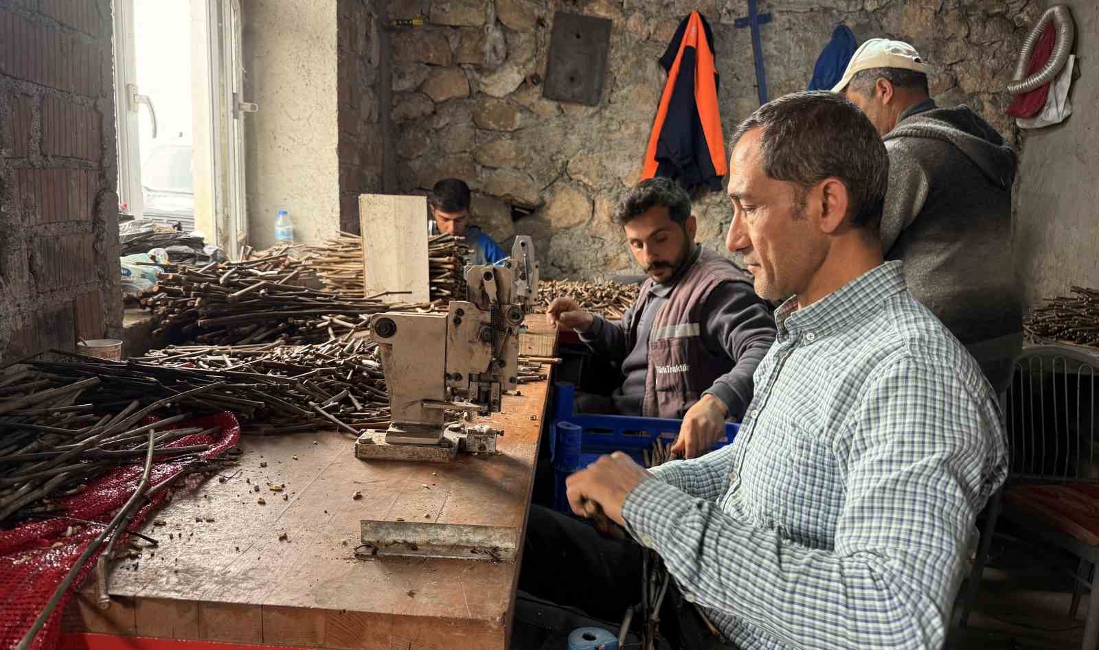 Narenciye üzümü fideleri 35 ile gönderiliyor