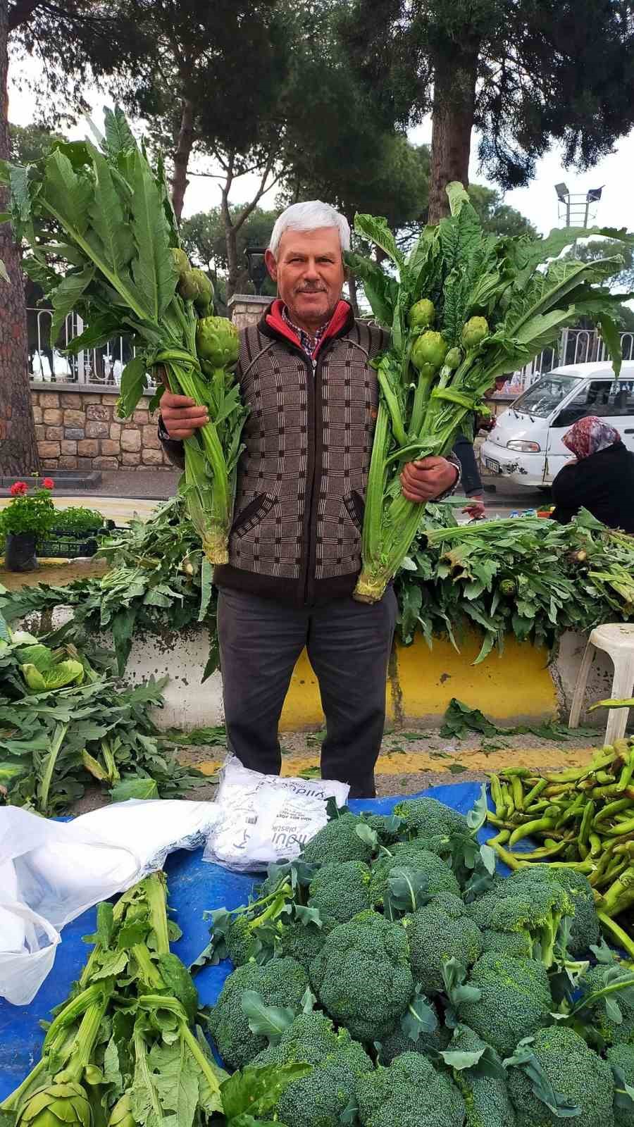 Enginar sezonu açıldı, tezgahlar yeşile büründü