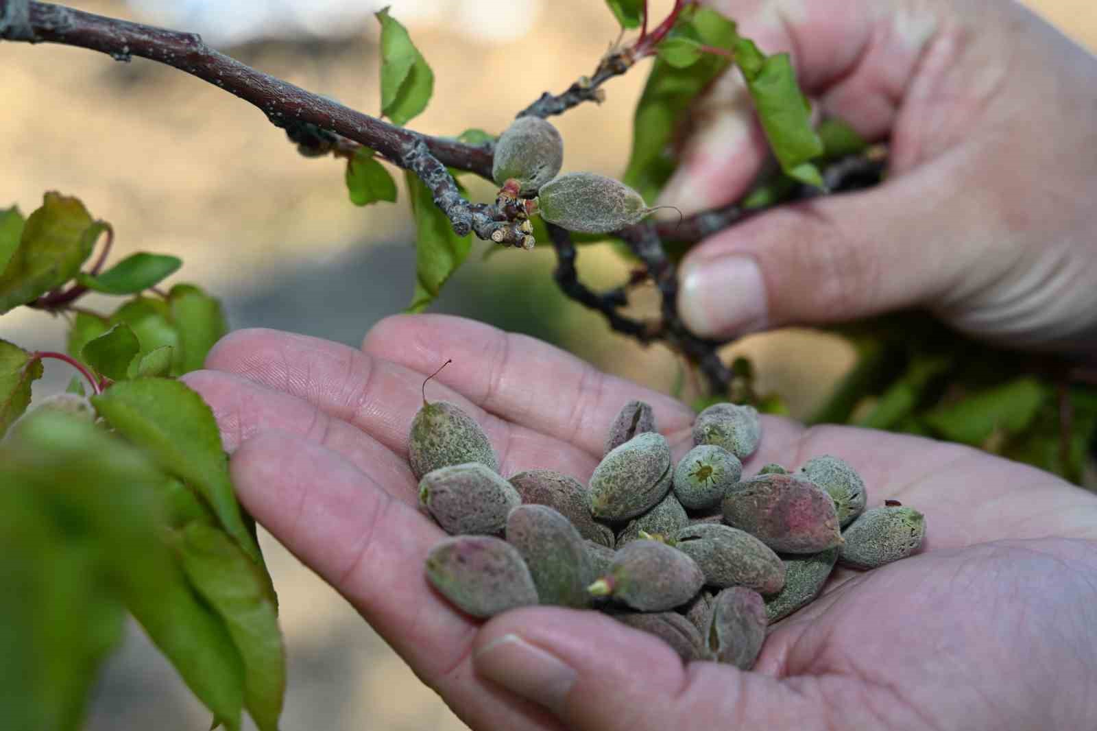 “Üreticilerimizin yanında olacağız”