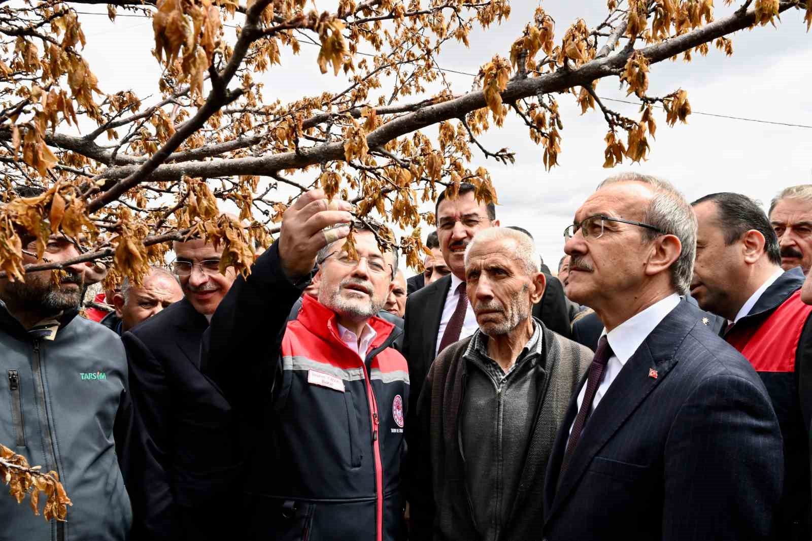 Bakan Yumaklı: “Don zararı görülen bölgelerde tüm üreticilere destek sağlanacak”