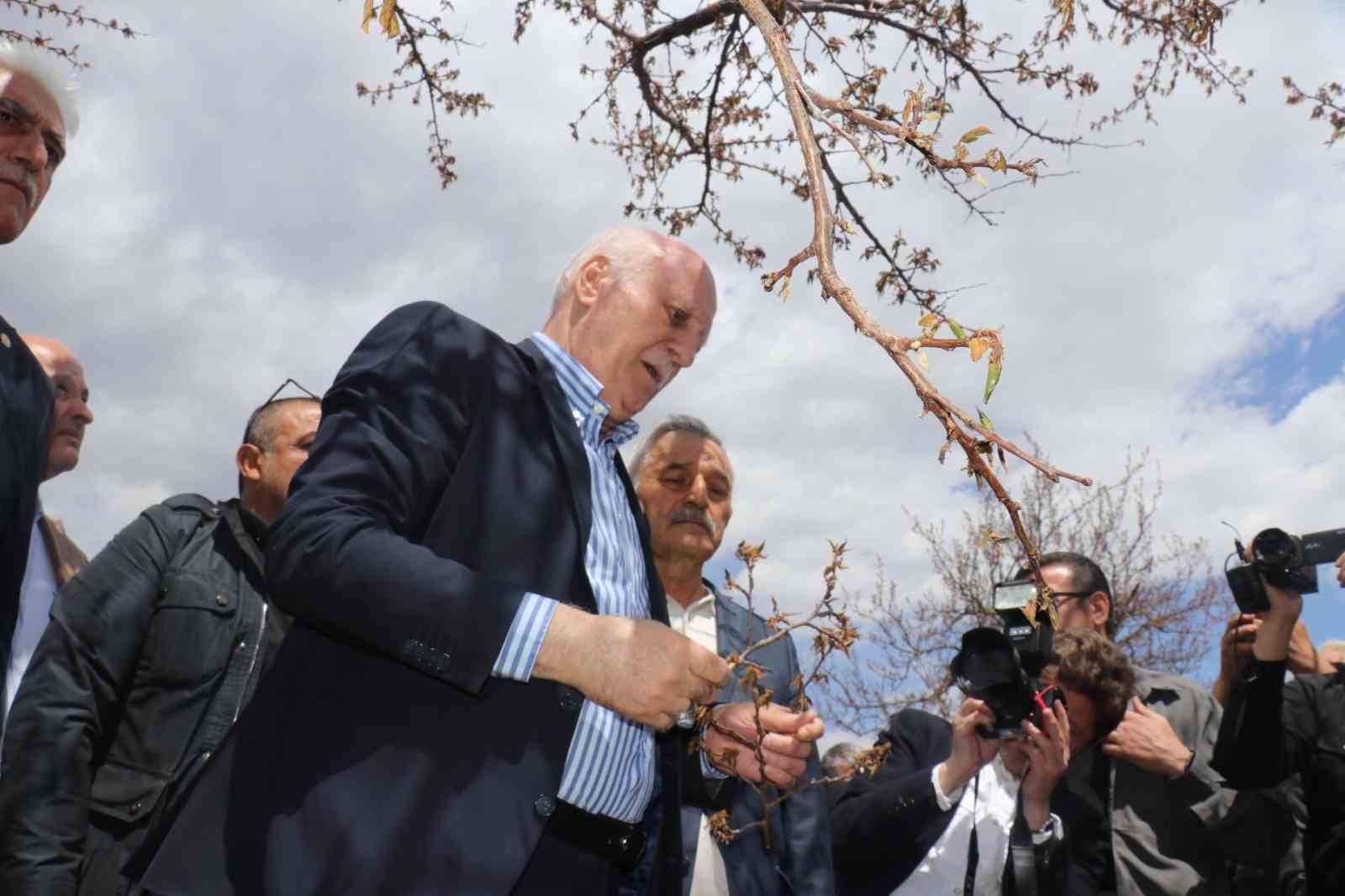 TZOB Genel Başkanı Bayraktar: “Kayısıda yüzde yüzlere varan zarar tespit ettik”