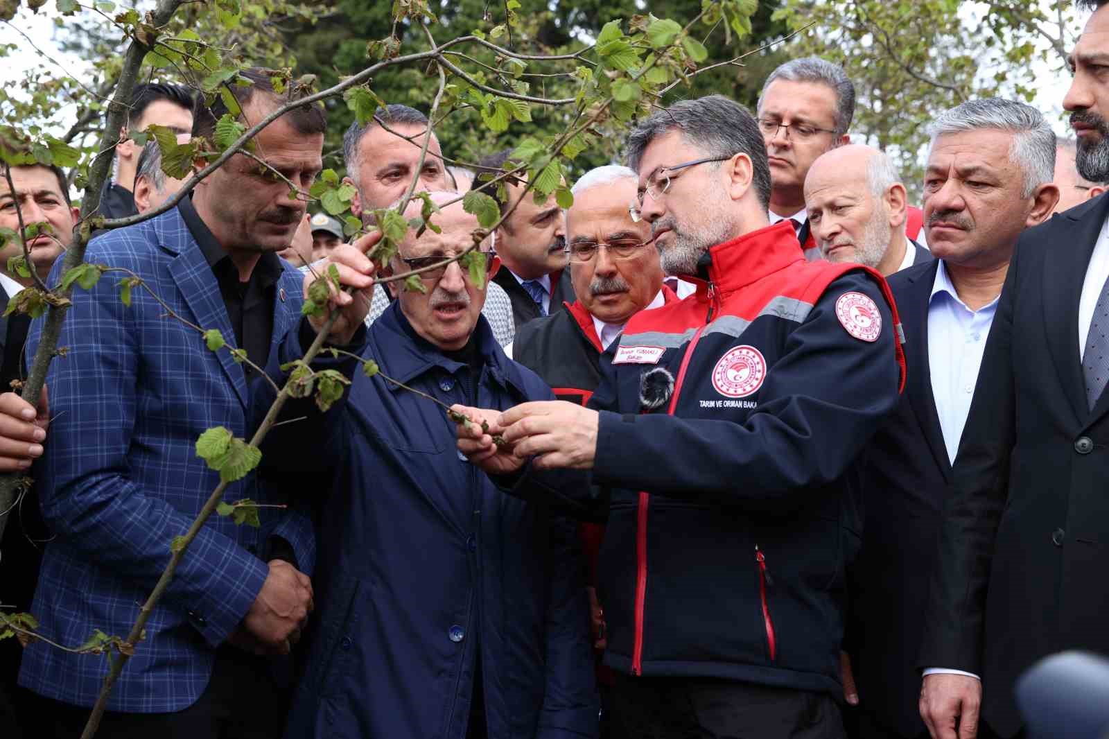 Bakan Yumaklı: “Zirai don nedeniyle zarar gören ağaçlarda kulaktan dolma bilgilerle budama yapılmamalı”