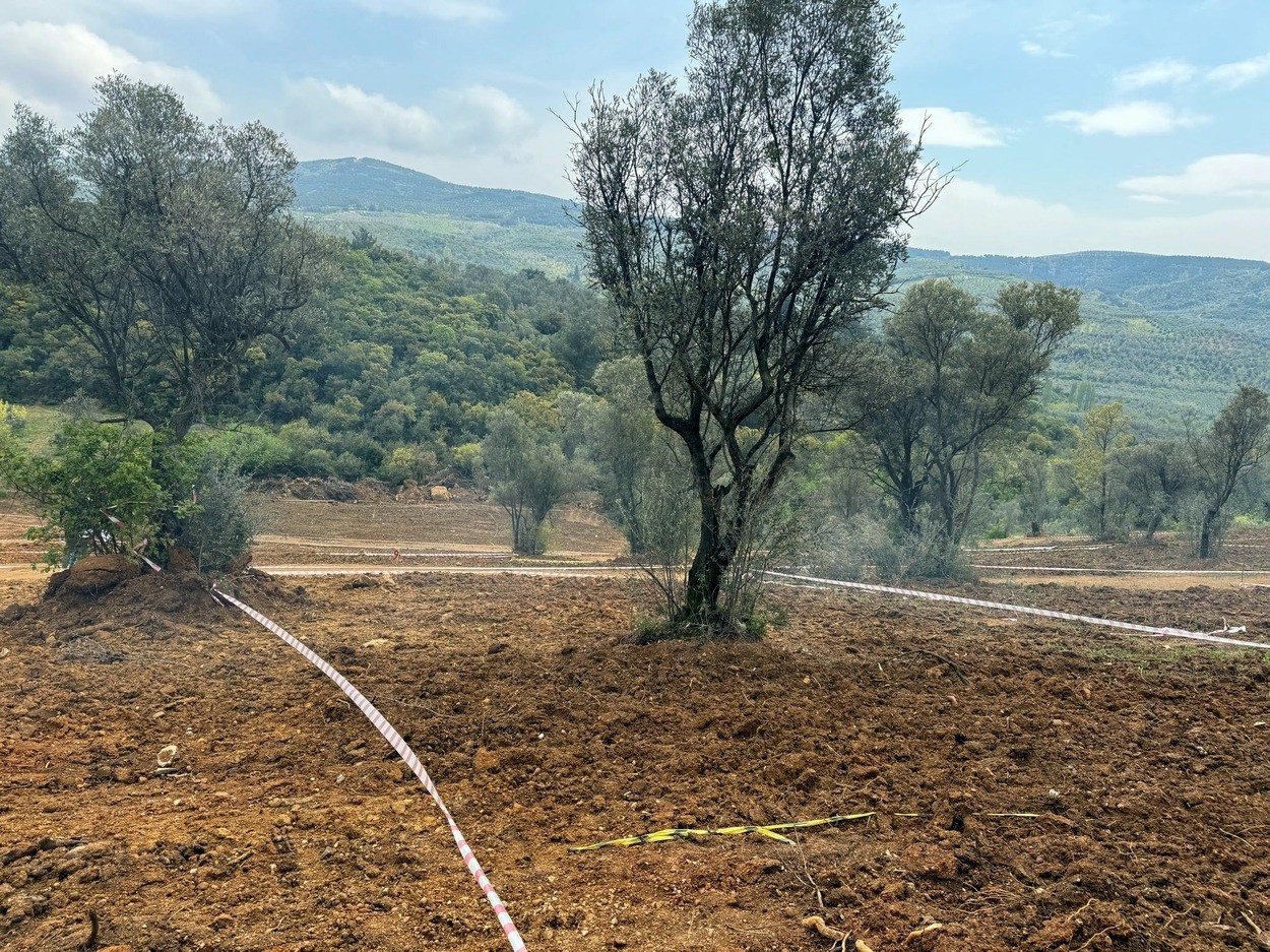 Tarım arazilerinizi koruyun, hisseli satışlara dikkat