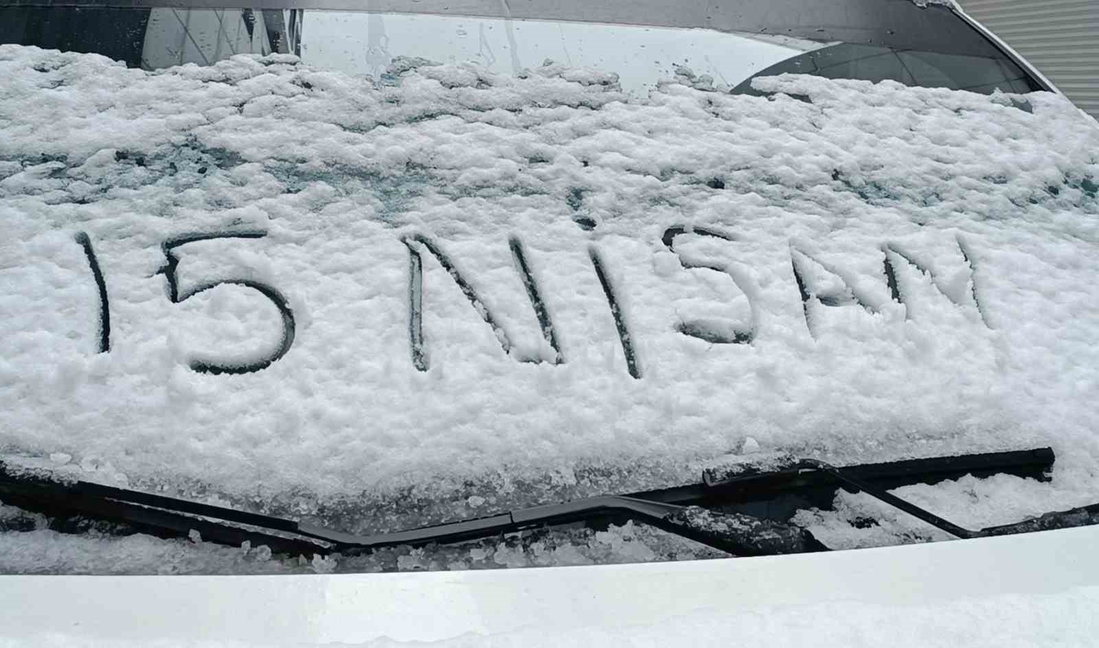 Van’da nisan sürprizi: Çiçek açan ağaçlara kar yağdı