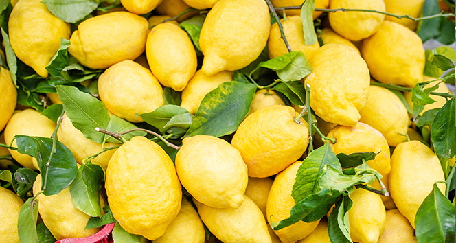 Limon ihracatı kısıtlandı!