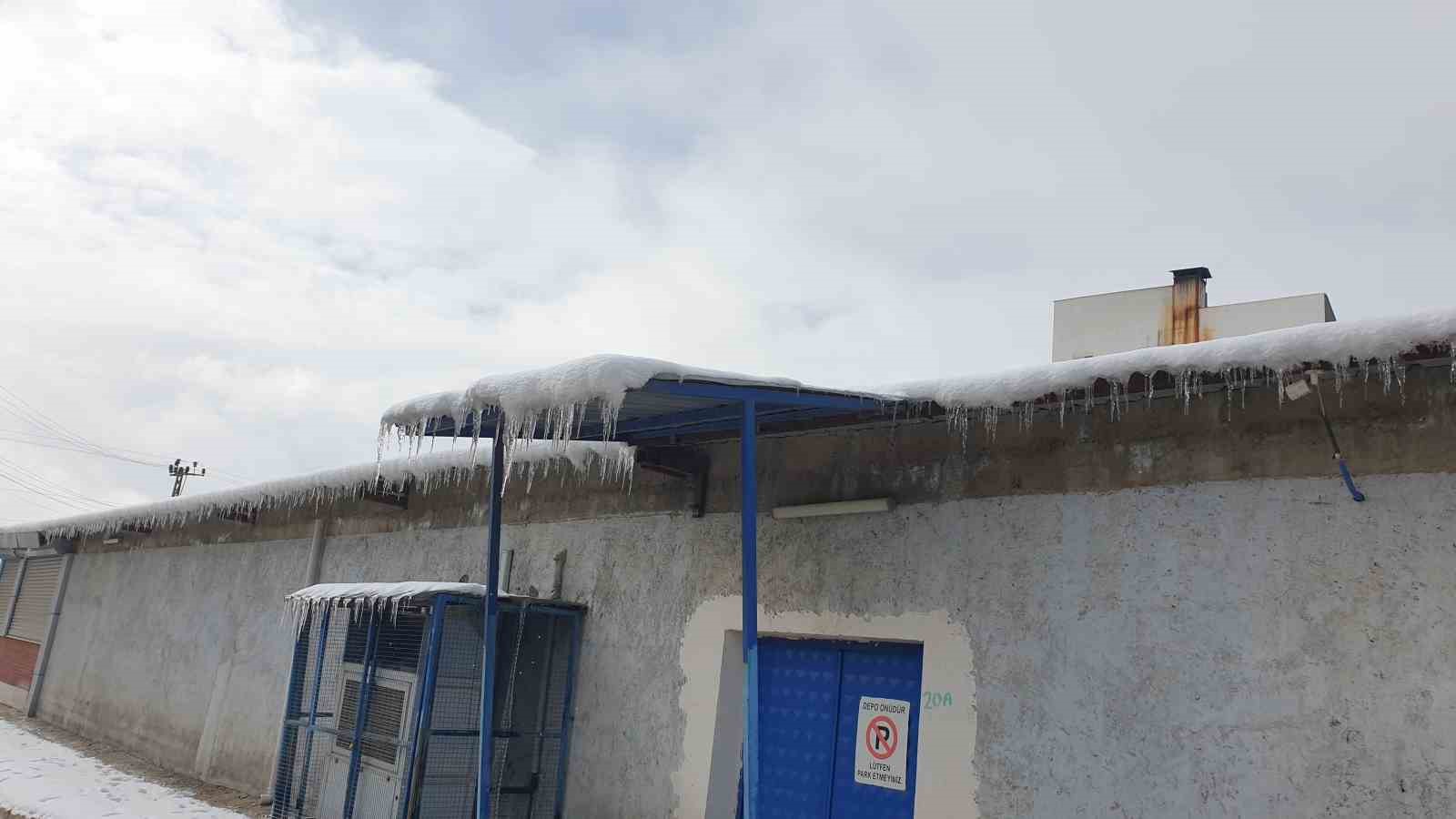 Başkale baharda dondu
