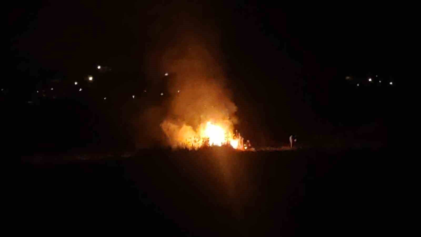 Van’da birçok kuş türüne ev sahipliği yapan sazlık alan yandı