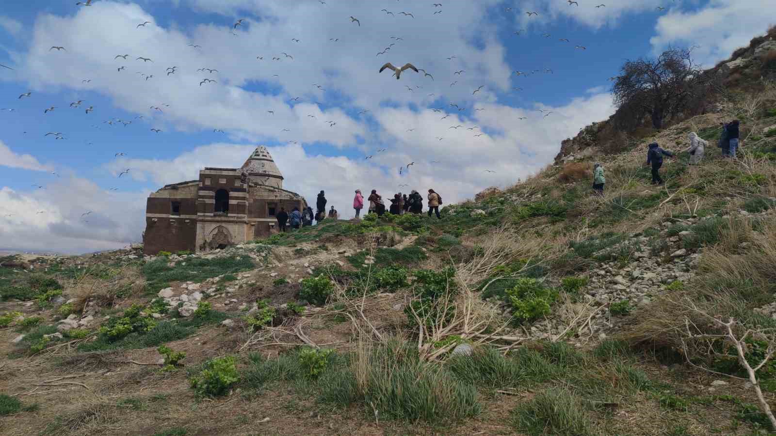 Van Gölü’nün el değmemiş güzelliği Çarpanak Adası