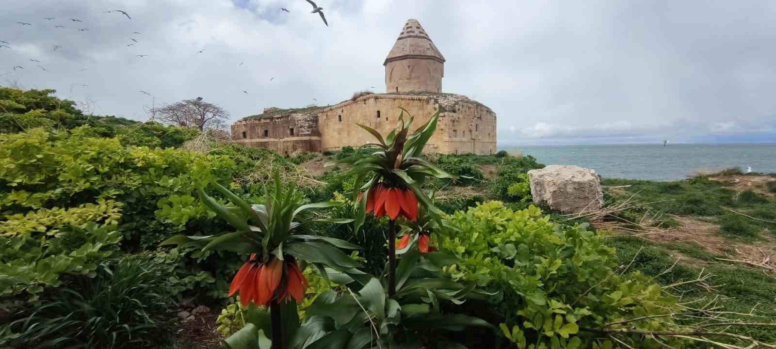 Van Gölü’nün el değmemiş güzelliği Çarpanak Adası