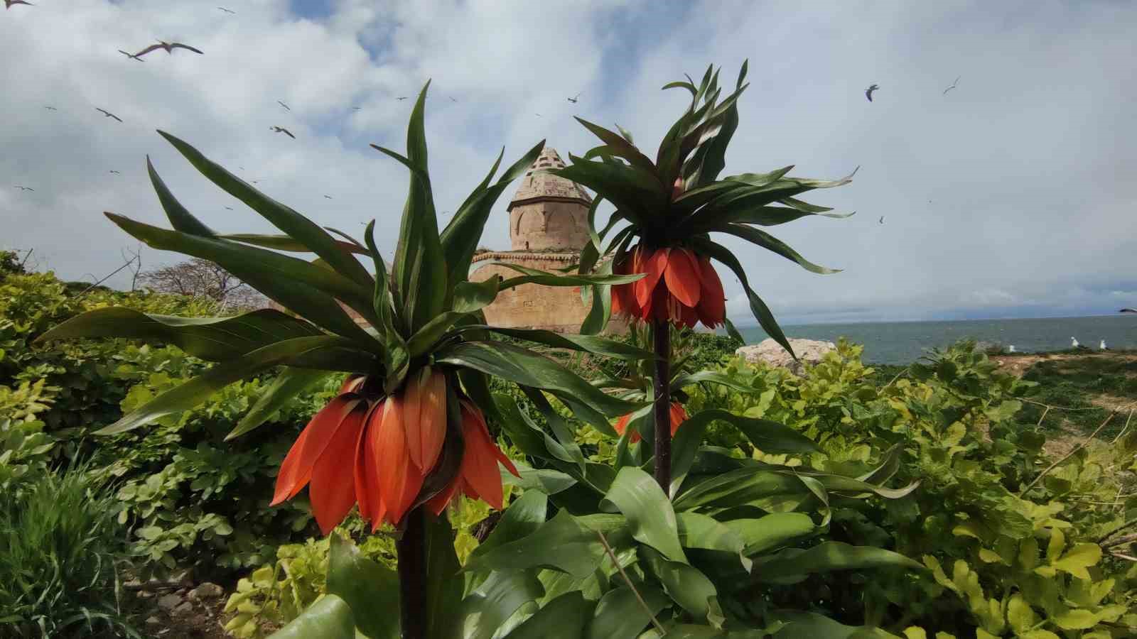 Van Gölü’nün el değmemiş güzelliği Çarpanak Adası
