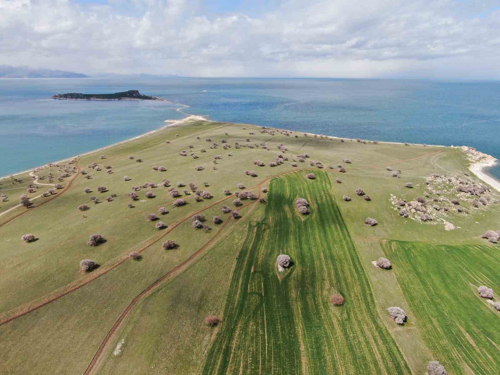Van Gölü’nün el değmemiş güzelliği Çarpanak Adası