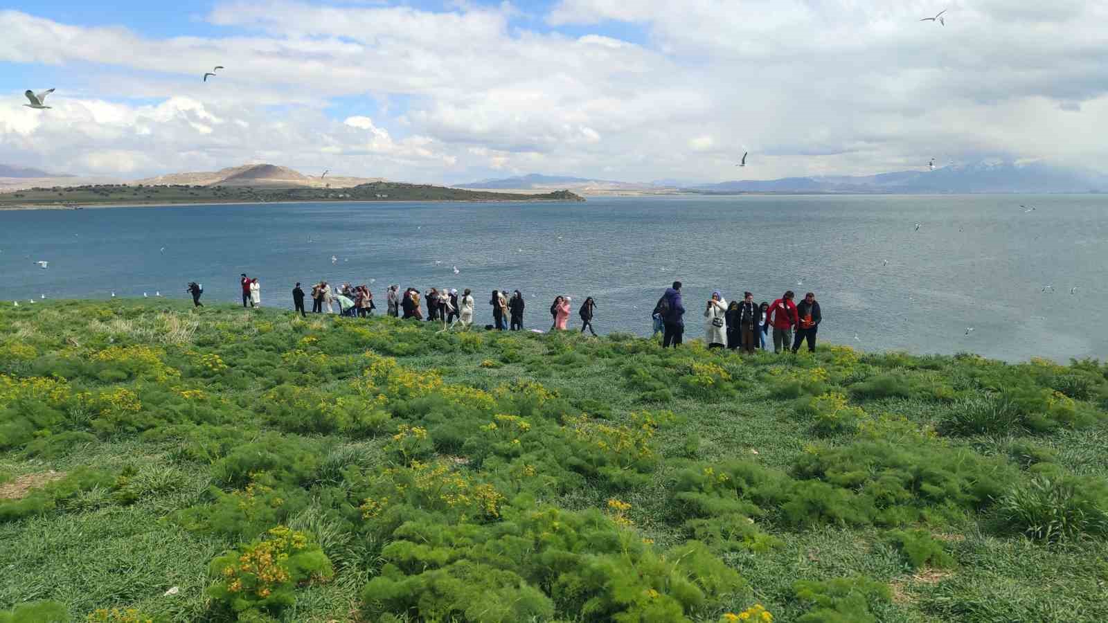 Van Gölü’nün el değmemiş güzelliği Çarpanak Adası