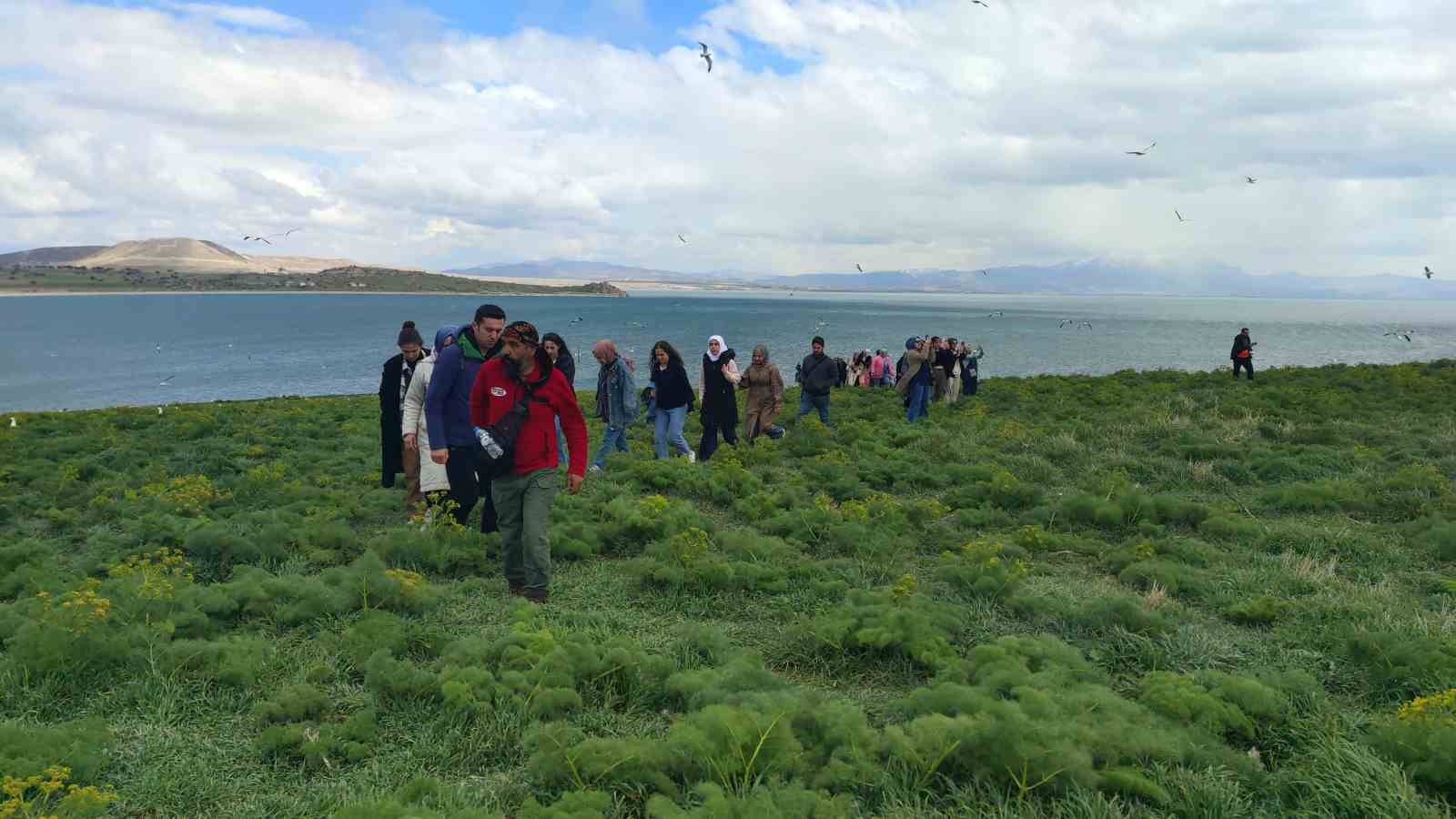 Van Gölü’nün el değmemiş güzelliği Çarpanak Adası