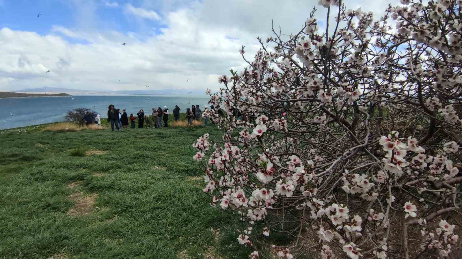 Van Gölü’nün el değmemiş güzelliği Çarpanak Adası