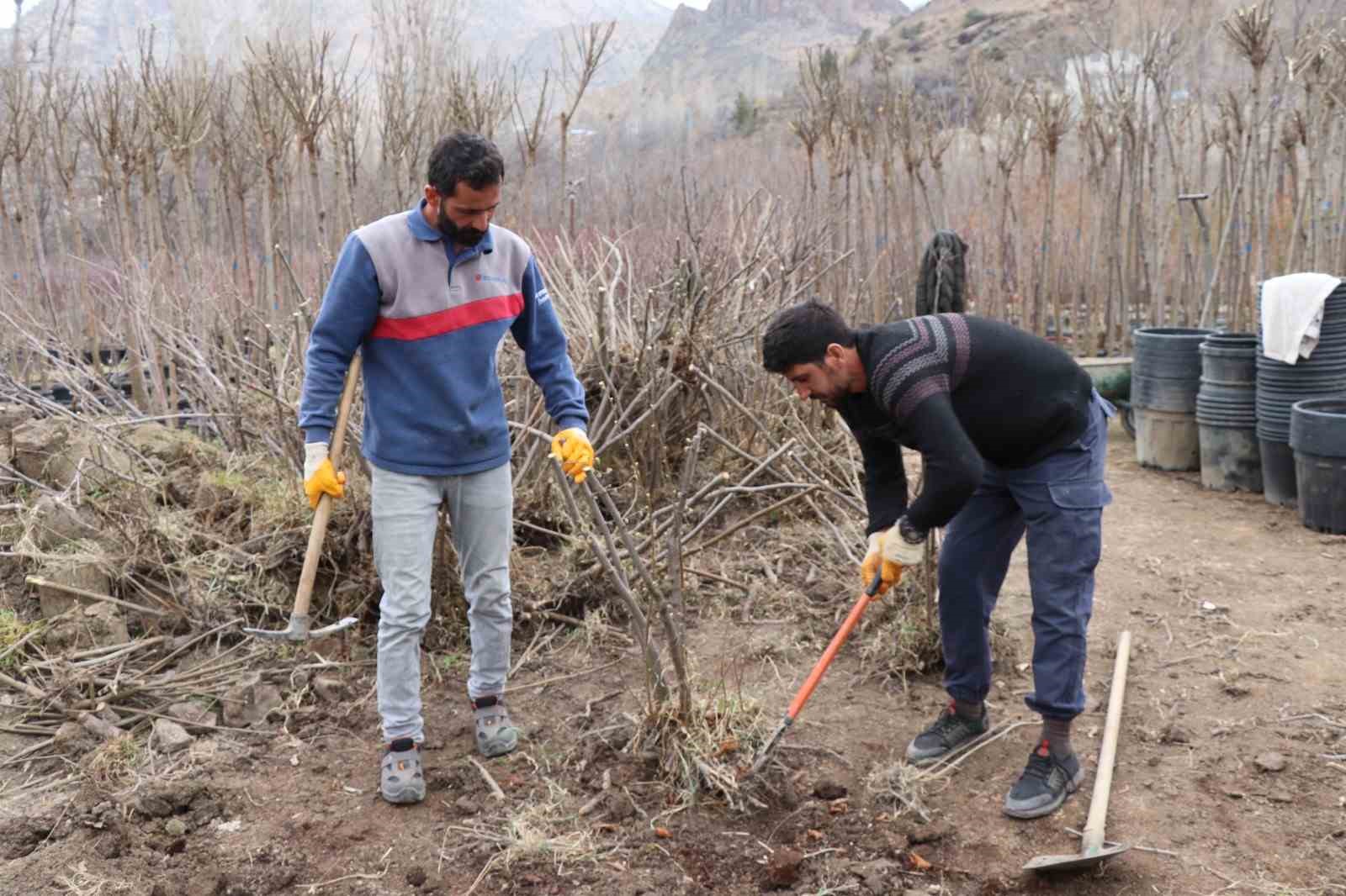 Ömrünü fidan üretimine adadı