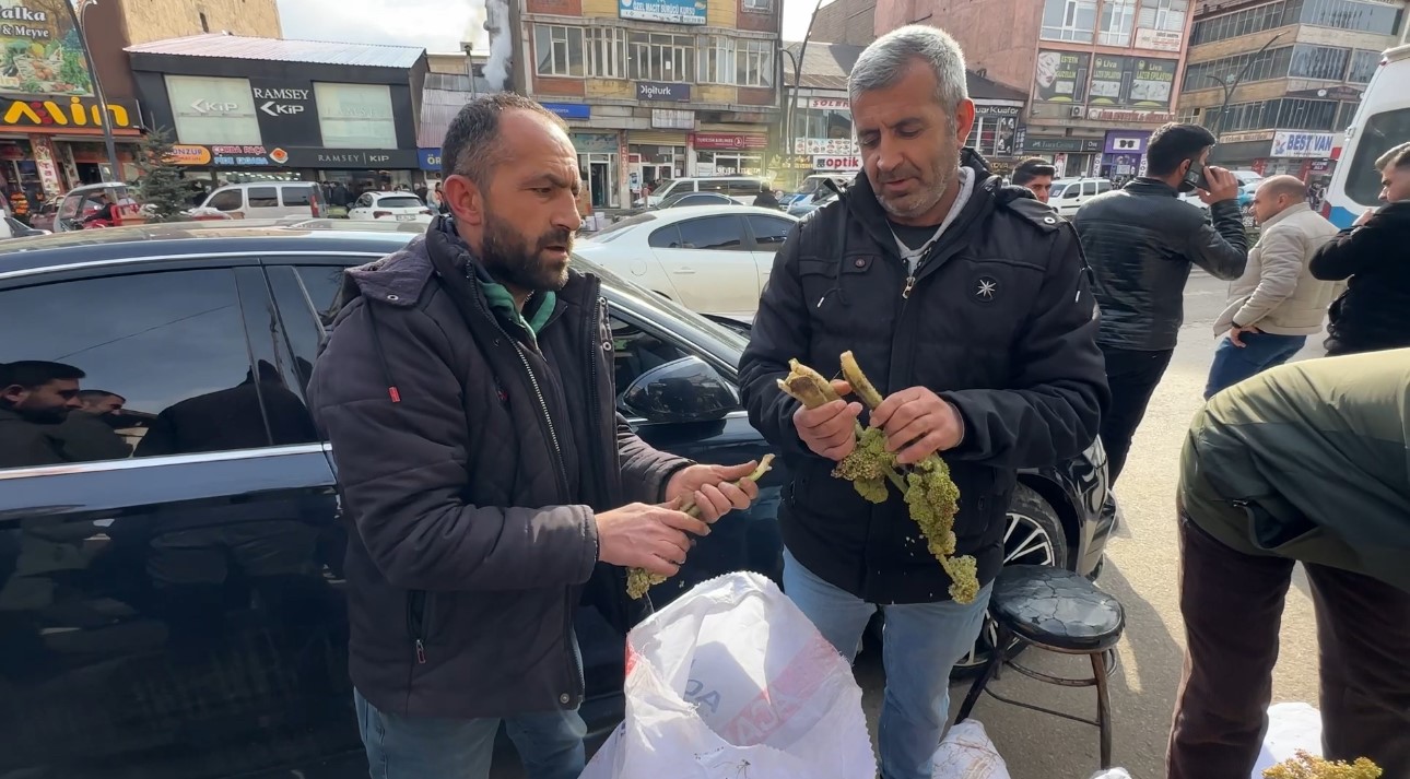 Yayla muzunun destesi 100 TL’den satışa çıkarıldı