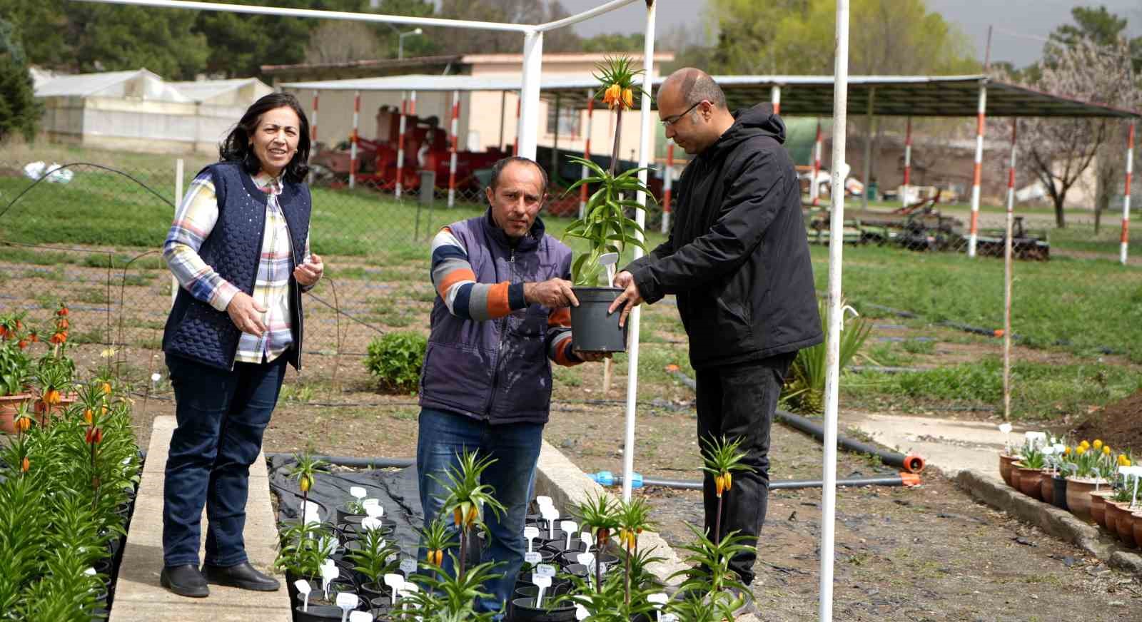 Bu çiçeği koparmanın cezası 577 bin lira