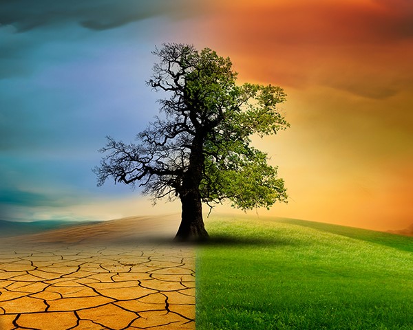 Türkiye’nin İlk “İklim Kanunu” Yolda: Neler Değişecek?