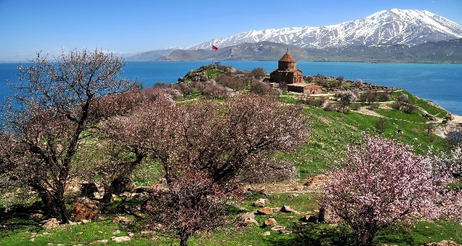 Festival Başlıyor: Tekne ücretli, ada ücretsiz olacak