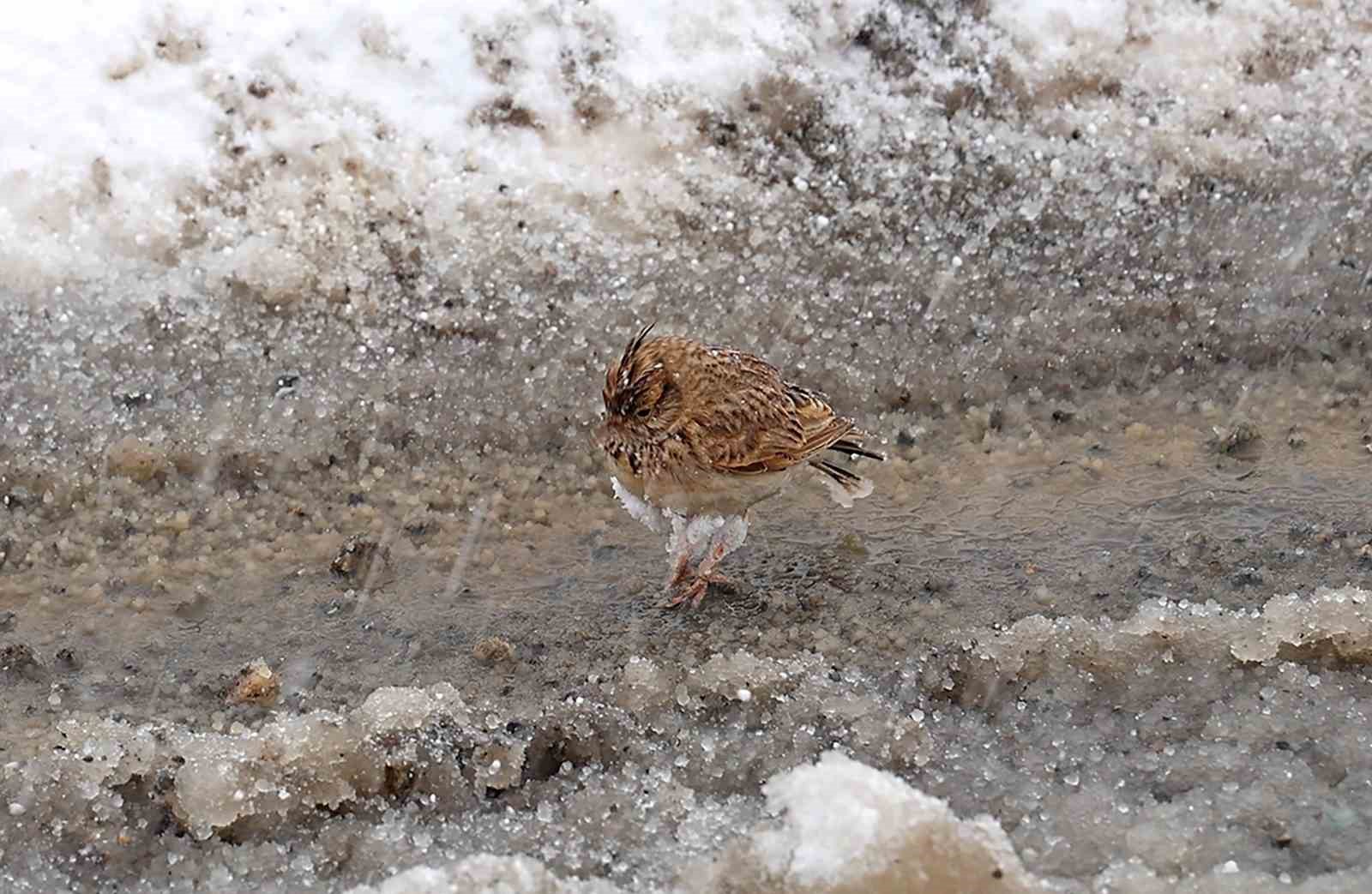 Aniden bastıran kar zor durumda bıraktı