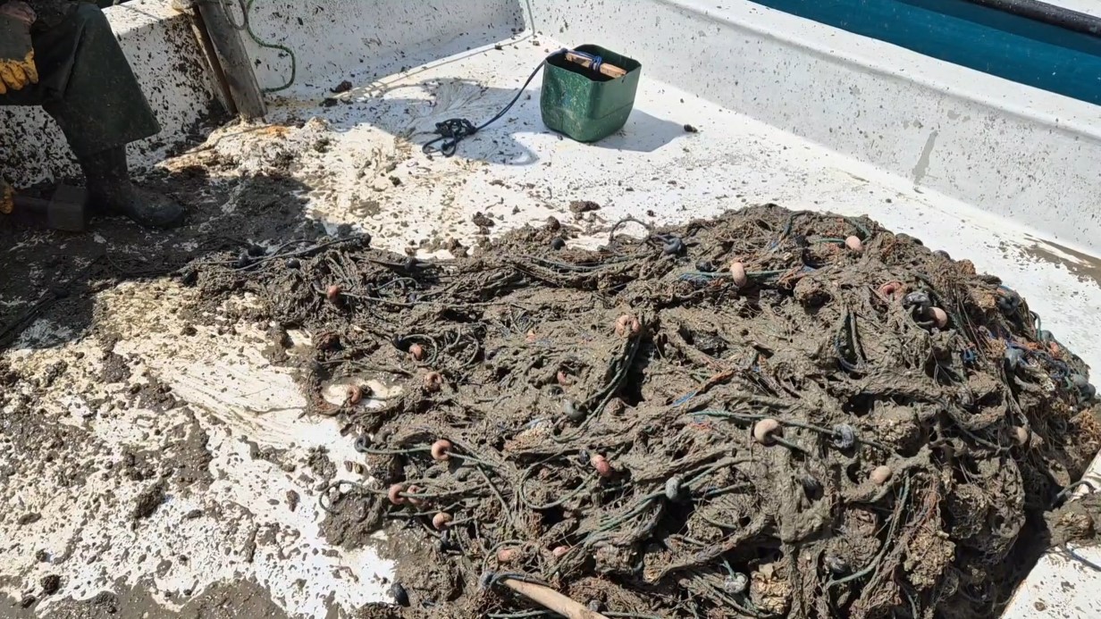 Marmara’da müsilaj kâbusu!