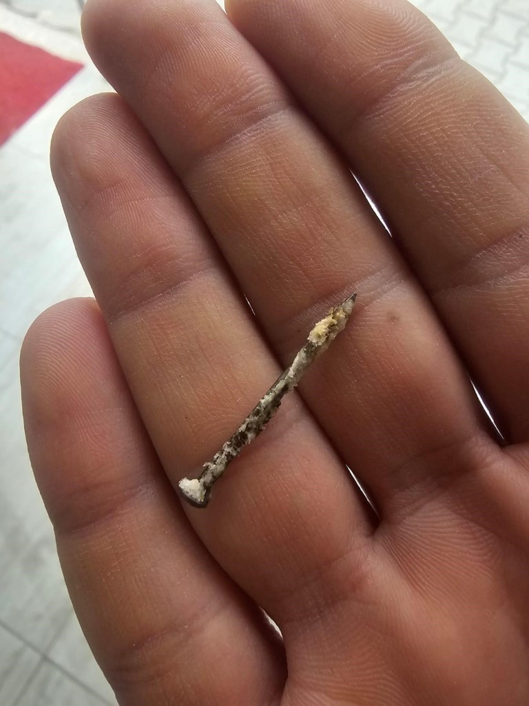 Masum Bir Kahvaltı Neredeyse Felaketle Sonuçlanıyordu!