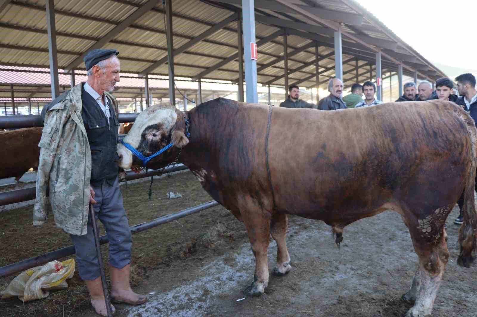 Bayramı öncesi hayvan pazarlarında hareketlilik yaşanıyor