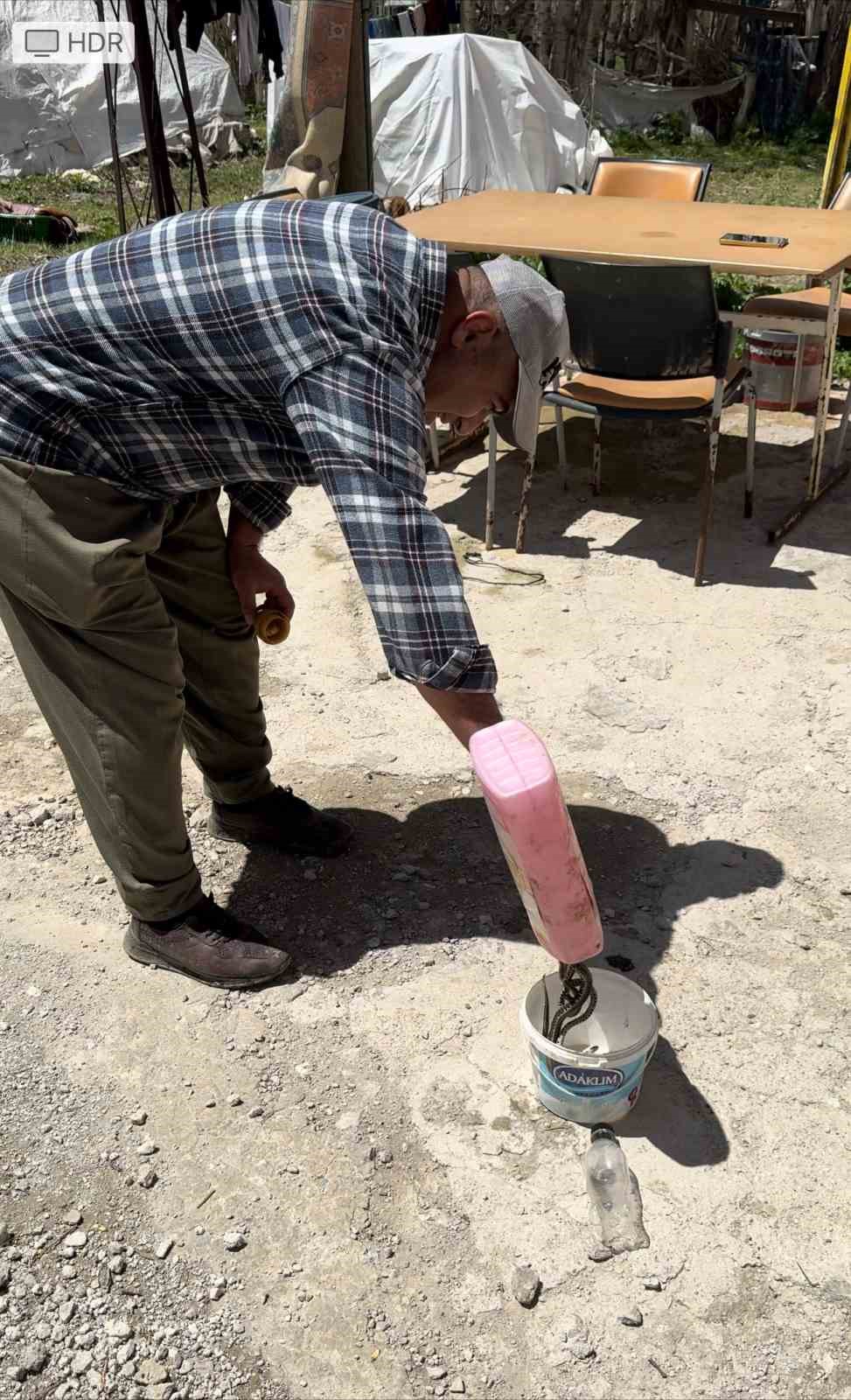 Hakkarili aile iki yıldır yılanlarla yaşıyor