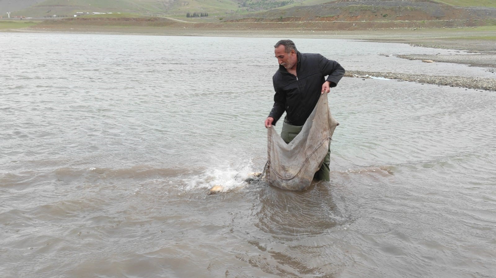 Elazığ’da kaçak av operasyonu!