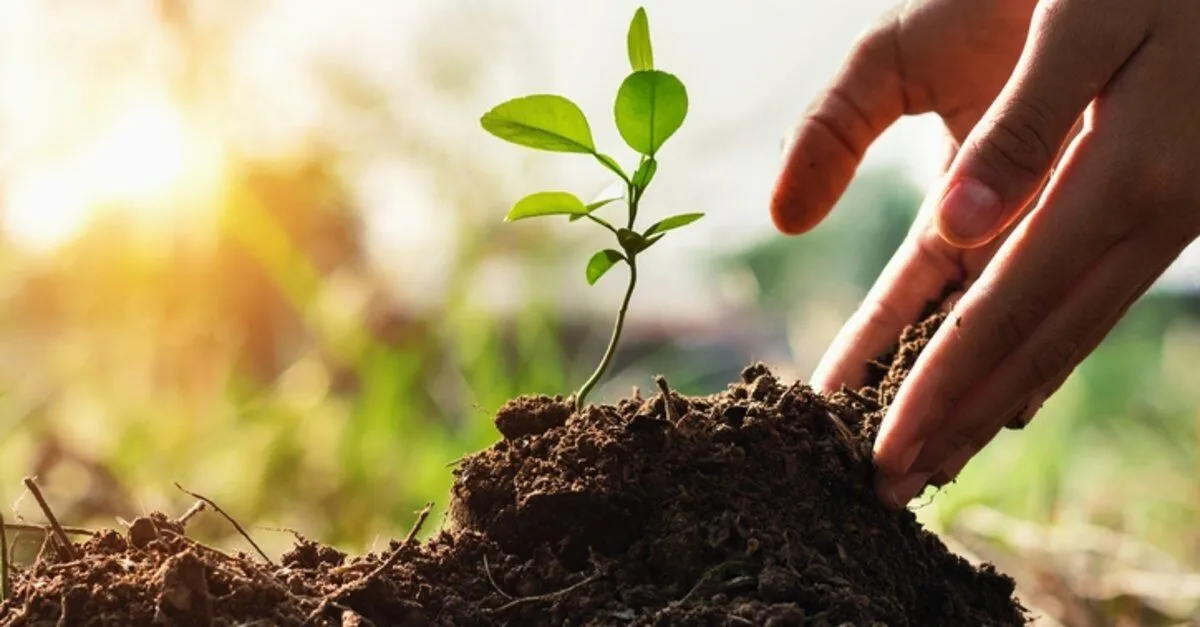 Gazeteci-yazar İdiz’den Anlamlı Proje: “Afrika’da Dikili Bir Ağacınız Olsun”