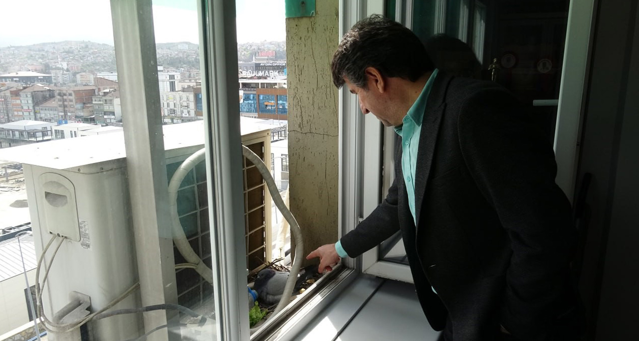 Güvercinler için klimasını kapattı