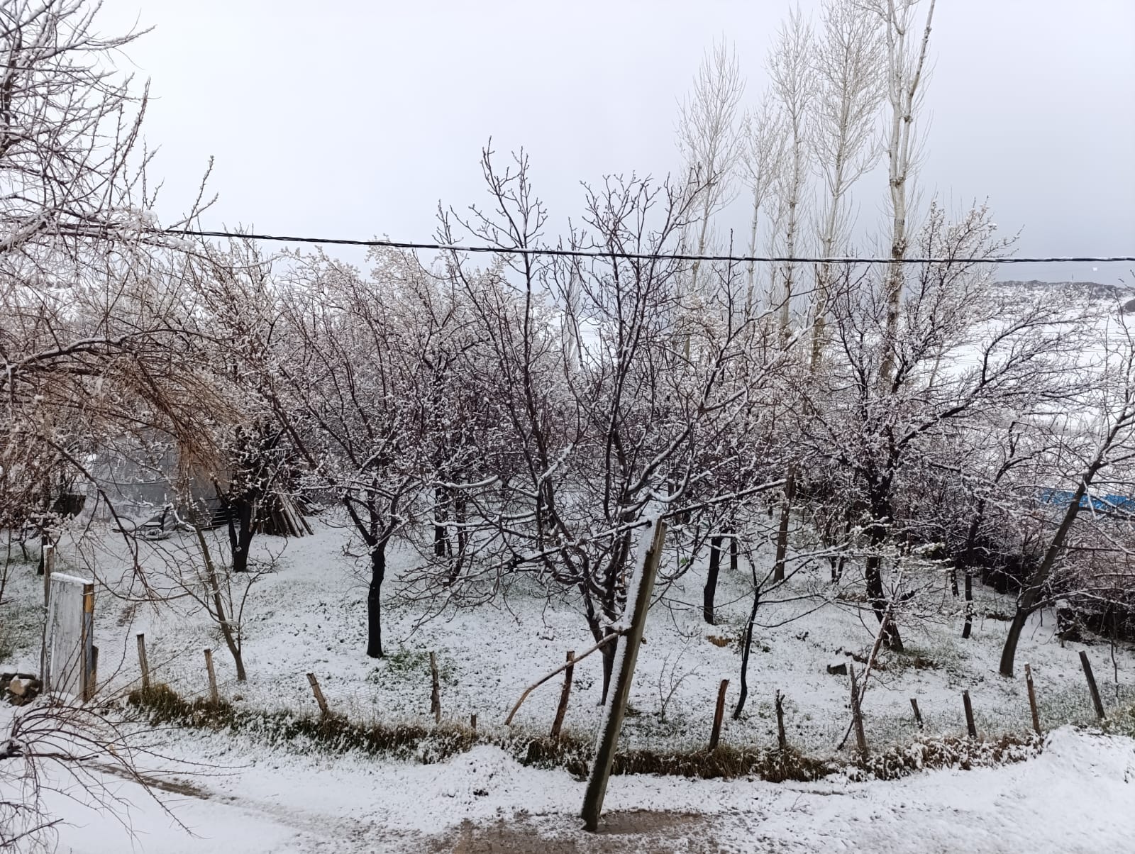 Vanlı vatandaşlar güne beyaz örtüyle uyandı