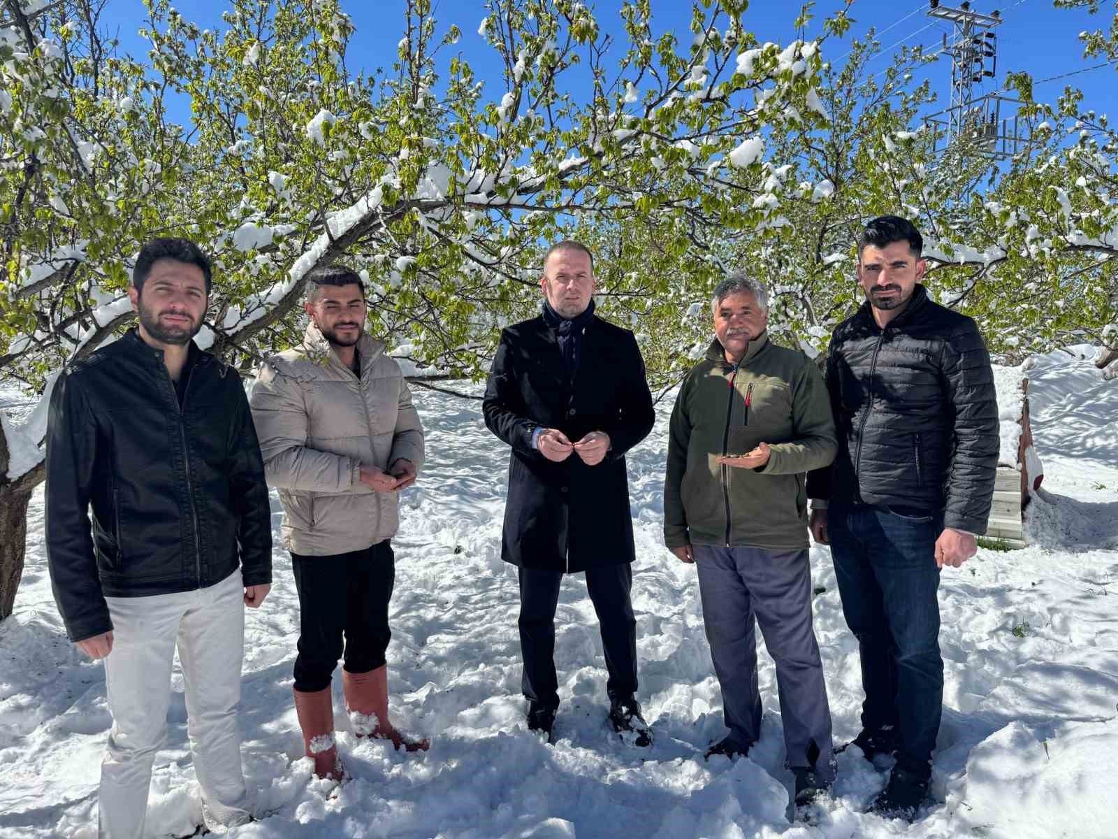 Kayısı da don felaketi