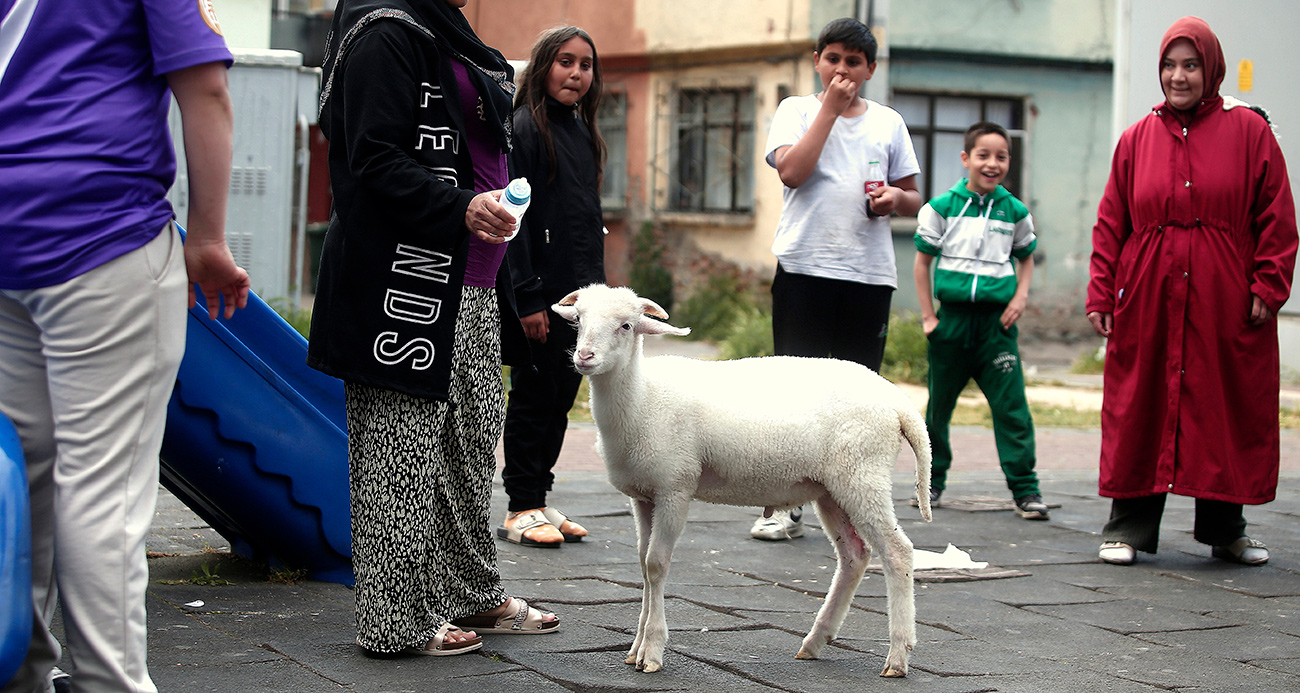 Kuzuya evlatları gibi bakıyorlar