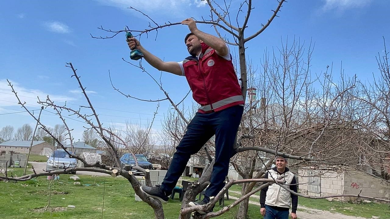 Meyve Ağaçlarında Verim Artırmanın Sırrı: Van’da Budama Eğitimi!