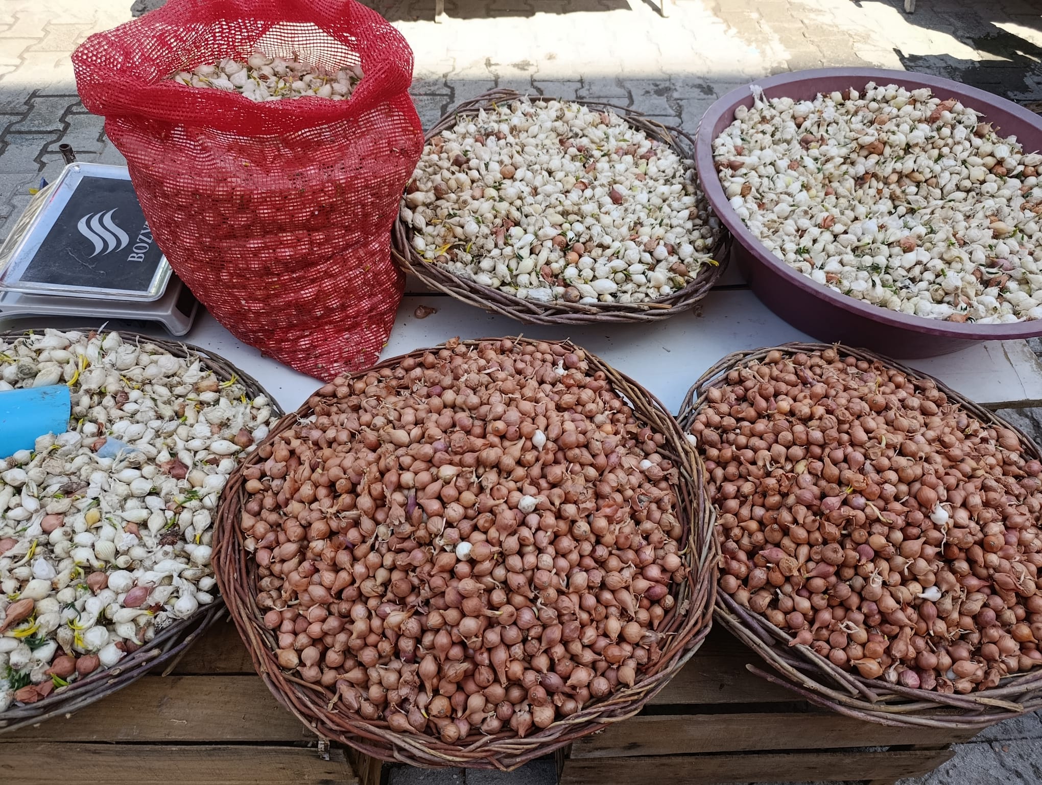 Van’da bahar hazırlığı! Tohum satışları başladı