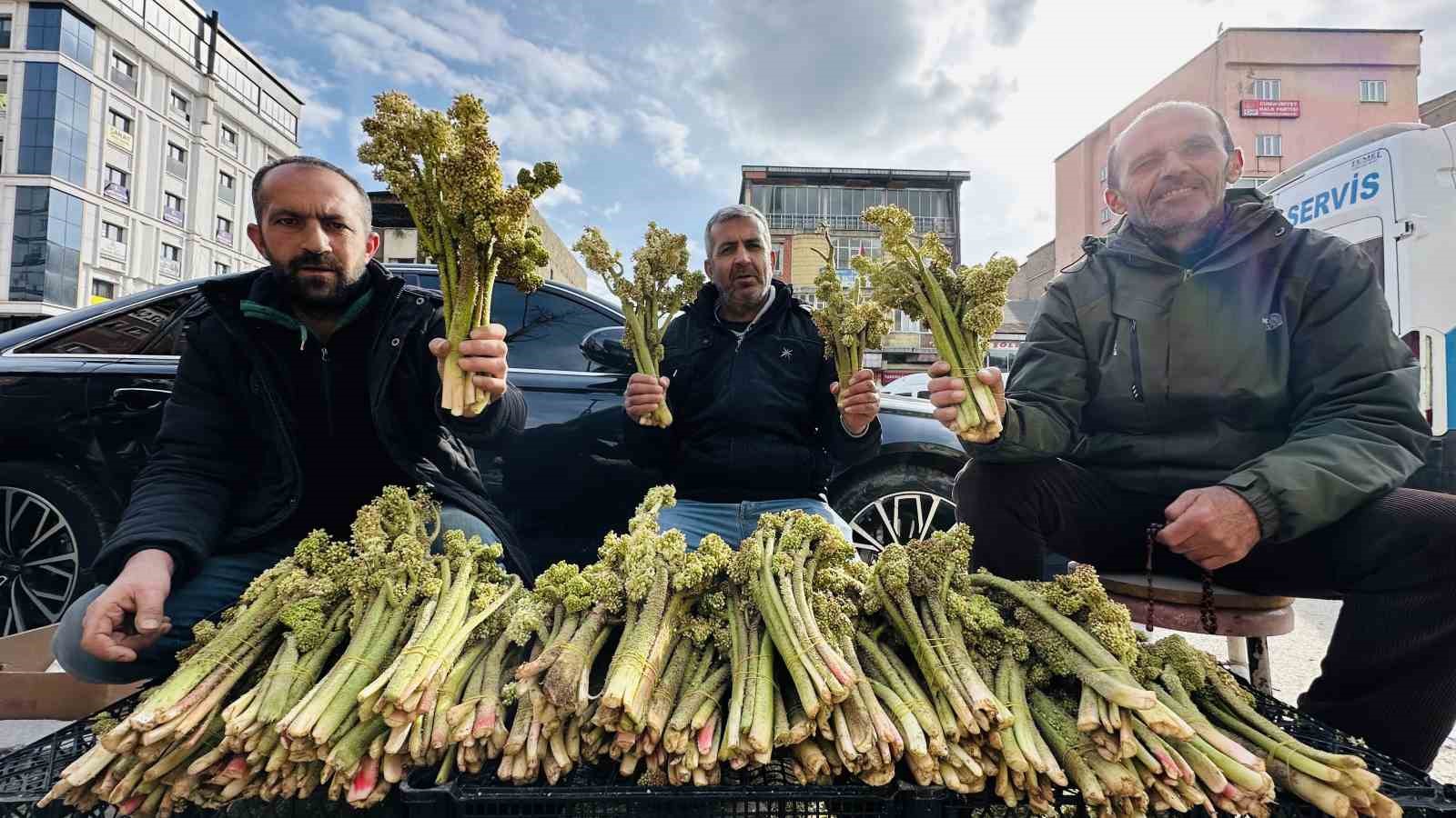 Uçkunun destesi Hakkari’de 100 lira oldu
