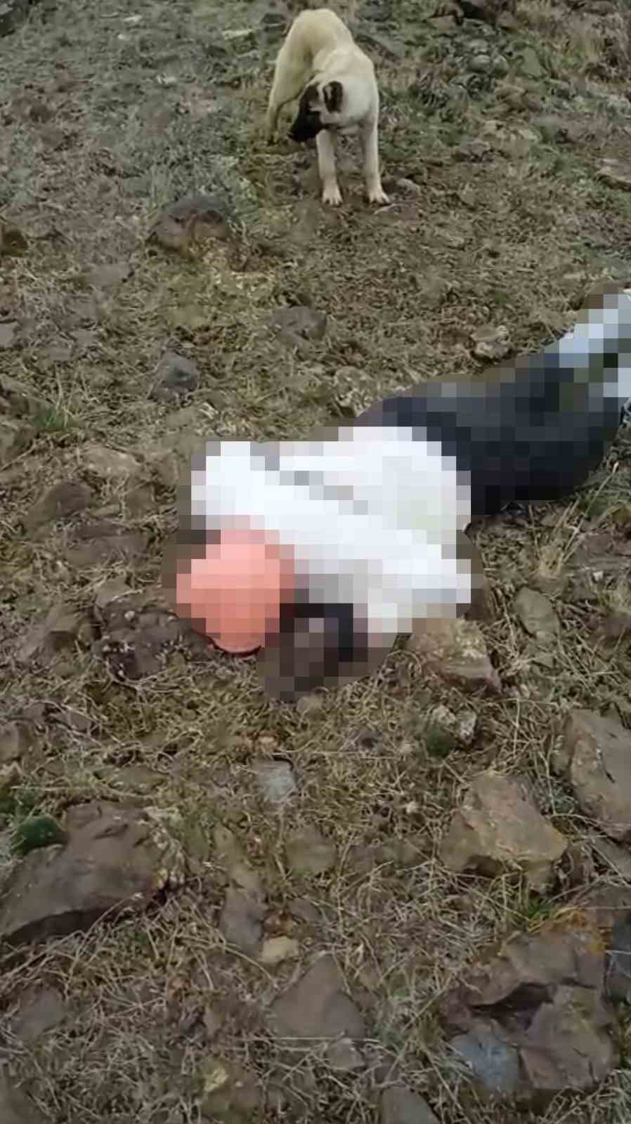 Van kırsalında erkek cesedi bulundu